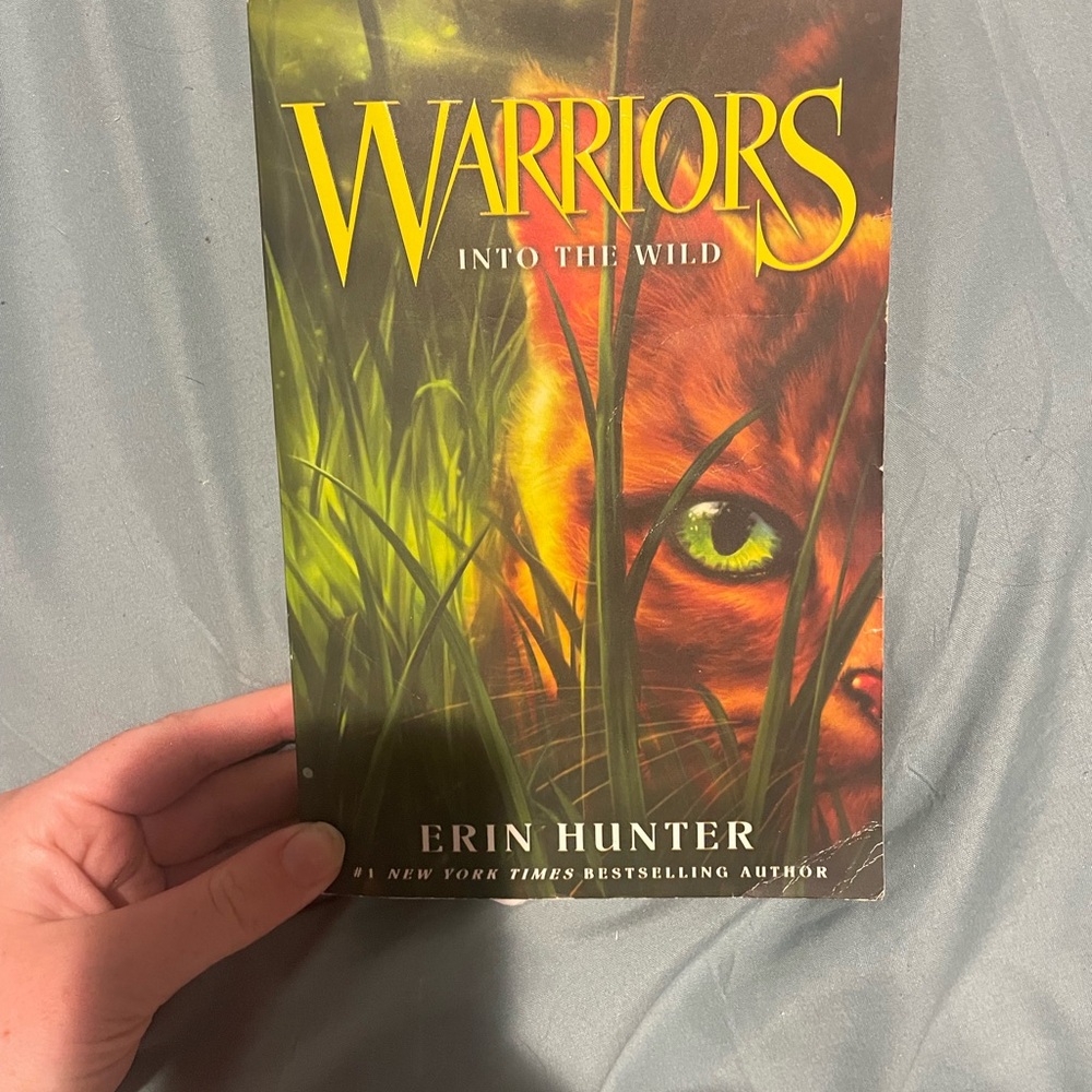 warrior cats book one
